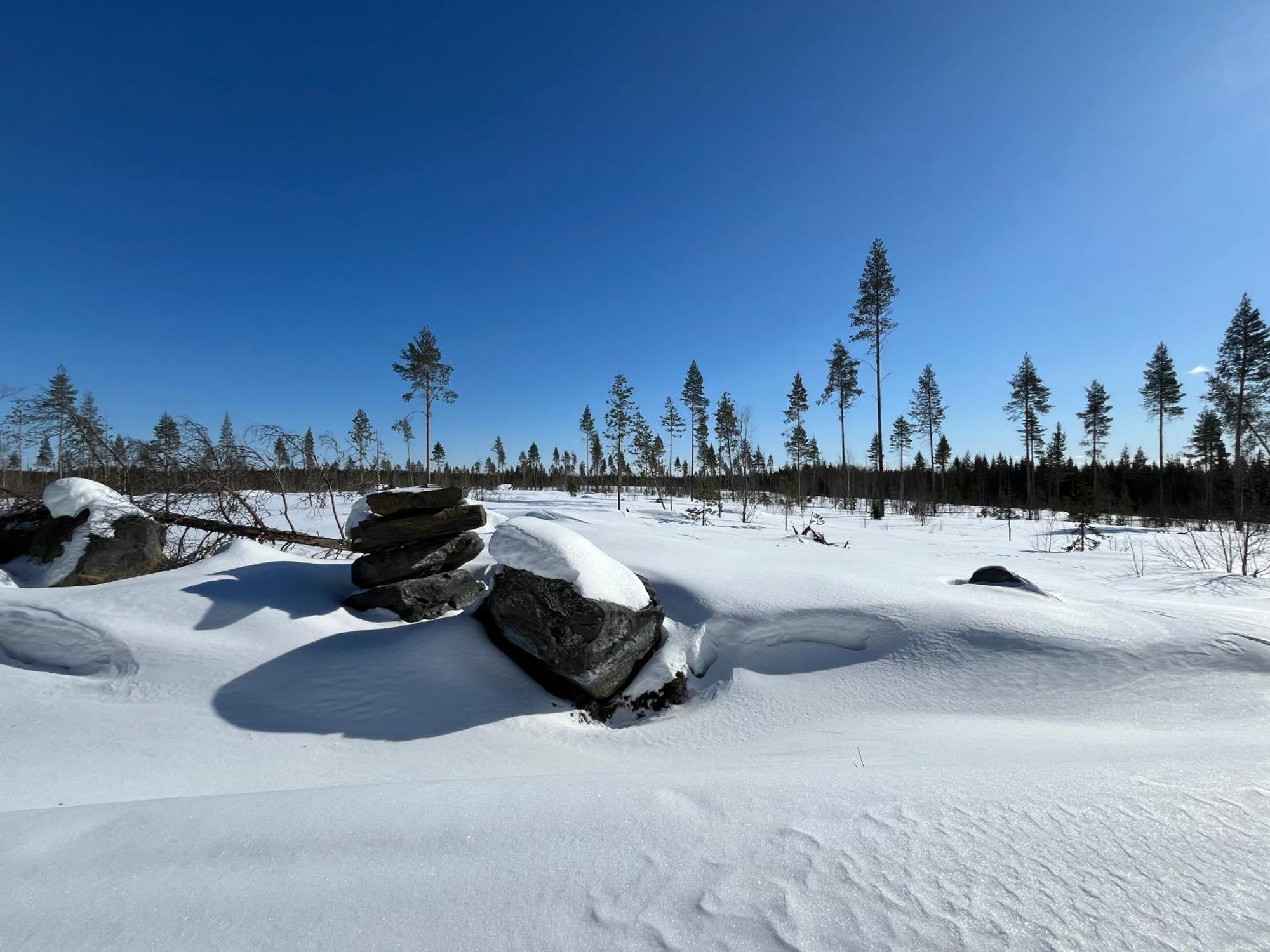 Log Cottages In 10 Min From Santa Claus Village-Sauna&Freeparking Rovaniemi Ngoại thất bức ảnh
