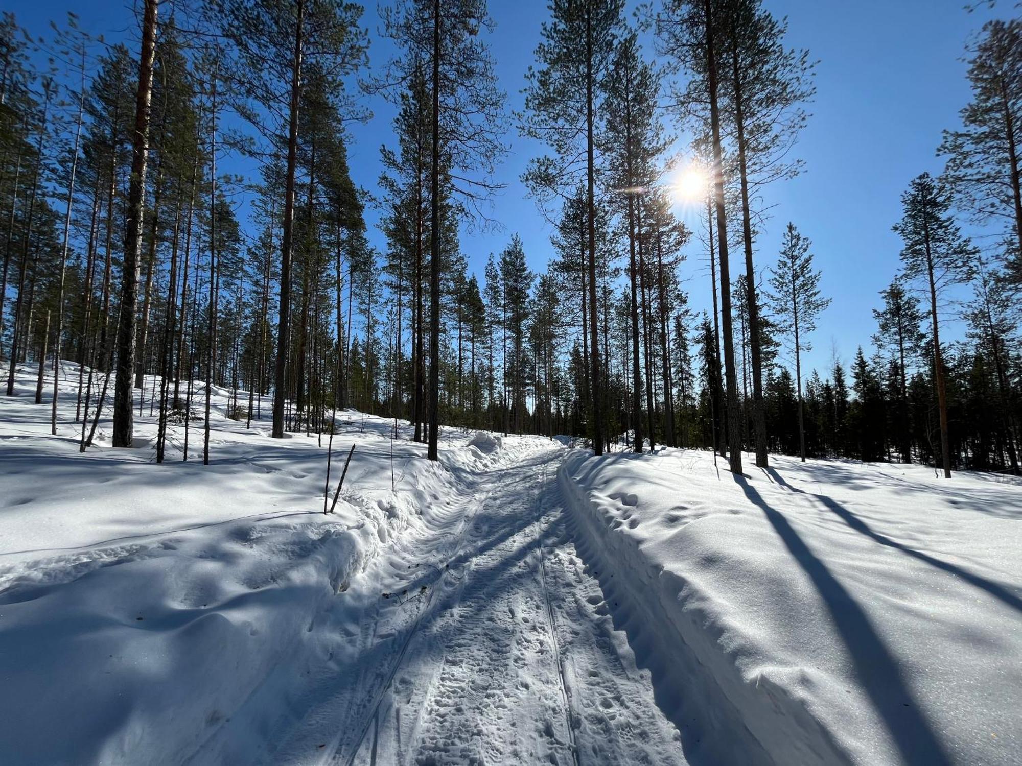Log Cottages In 10 Min From Santa Claus Village-Sauna&Freeparking Rovaniemi Ngoại thất bức ảnh